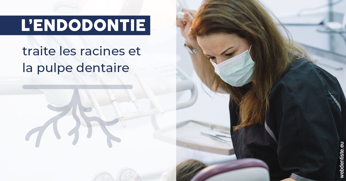 https://dr-coat-philippe.chirurgiens-dentistes.fr/L'endodontie 1