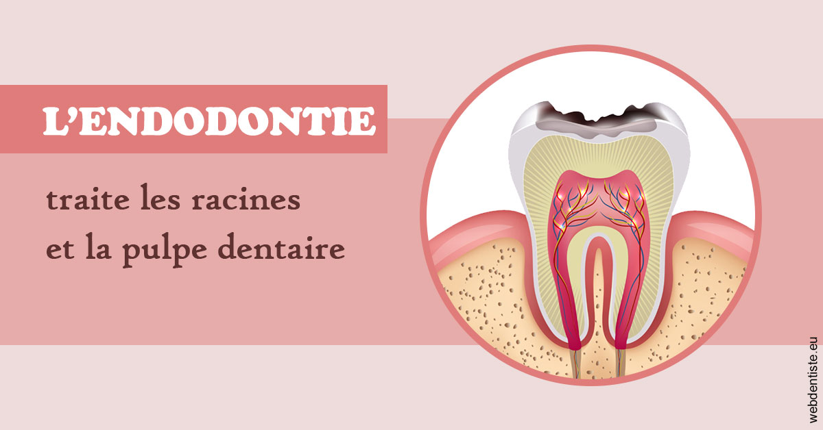 https://dr-coat-philippe.chirurgiens-dentistes.fr/L'endodontie 2