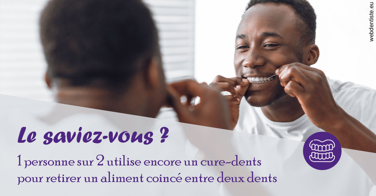https://dr-coat-philippe.chirurgiens-dentistes.fr/Cure-dents 2