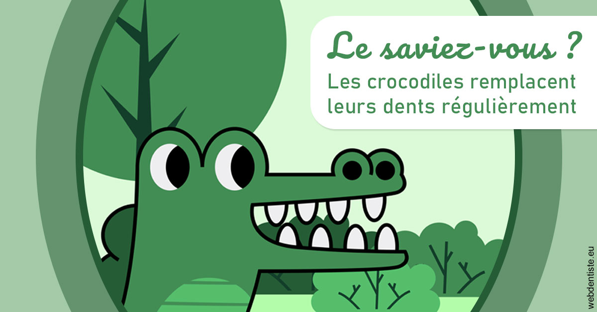 https://dr-coat-philippe.chirurgiens-dentistes.fr/Crocodiles 2
